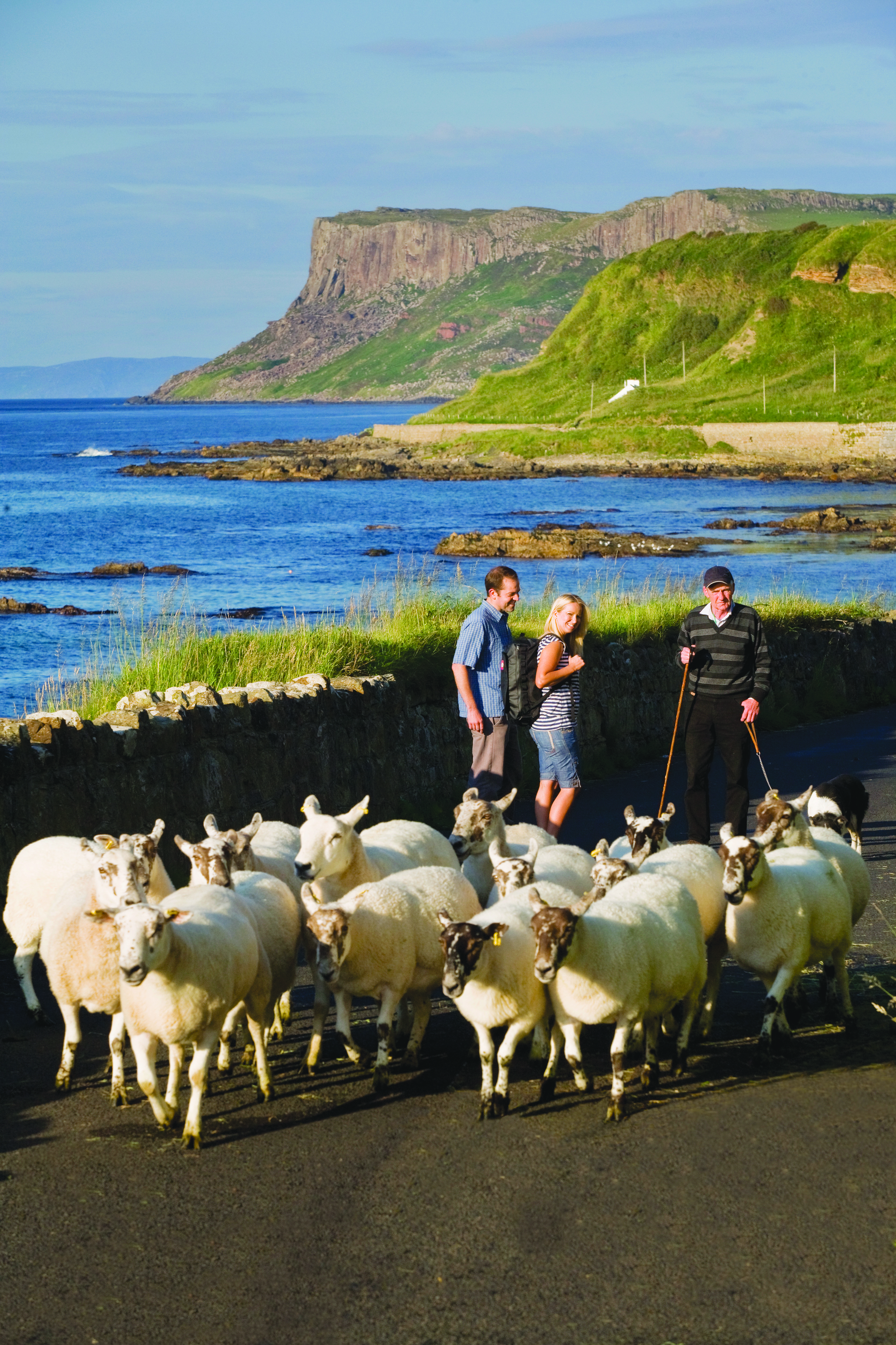 Couple in Ballycastle with Sheep